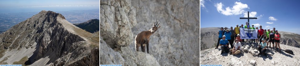 Cima delle Murelle