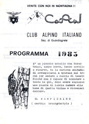 Link al Programma 1985